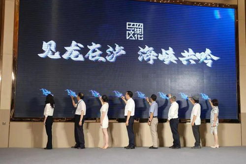 見龍在瀘 海峽共吟 2024海峽兩岸巴蜀文化藝術(shù)季中華龍文化研討會暨創(chuàng)意設(shè)計大賽在四川瀘縣啟動