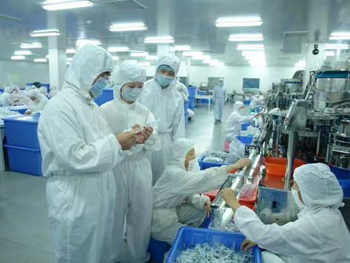 蘇州車(chē)間凈化建設(shè)的關(guān)鍵技術(shù)與浙江美兆環(huán)境技術(shù)的專(zhuān)業(yè)實(shí)踐